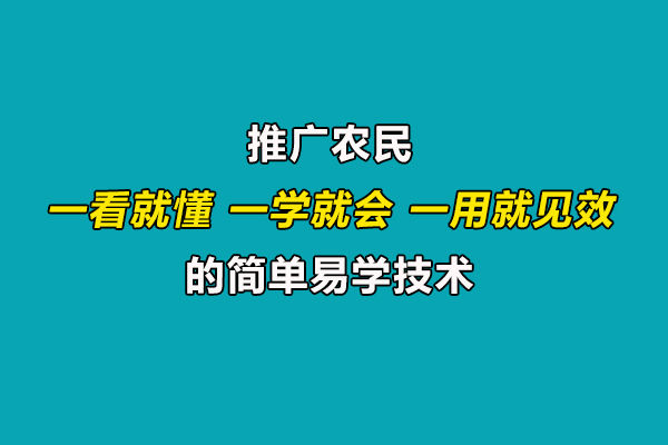 引導(dǎo)農(nóng)民合理施肥用藥,推廣一看就懂、一學(xué)就會(huì)、一用就見(jiàn)效的技術(shù)