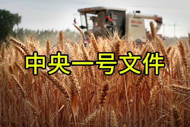 《轉(zhuǎn)發(fā)》老趙說(shuō)農(nóng)資：解讀2024中央一號(hào)文件，肥料生產(chǎn)企業(yè)這樣干